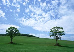 静岡県浜松市の家族葬専門斎場｜『家族葬のタクセル佐鳴台』の特徴とサービス内容を徹底紹介